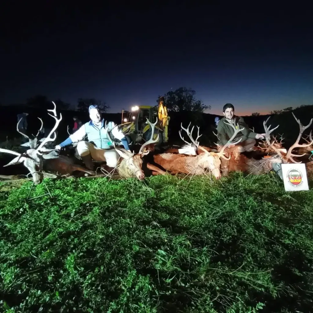 foto con piezas de caza nocturna